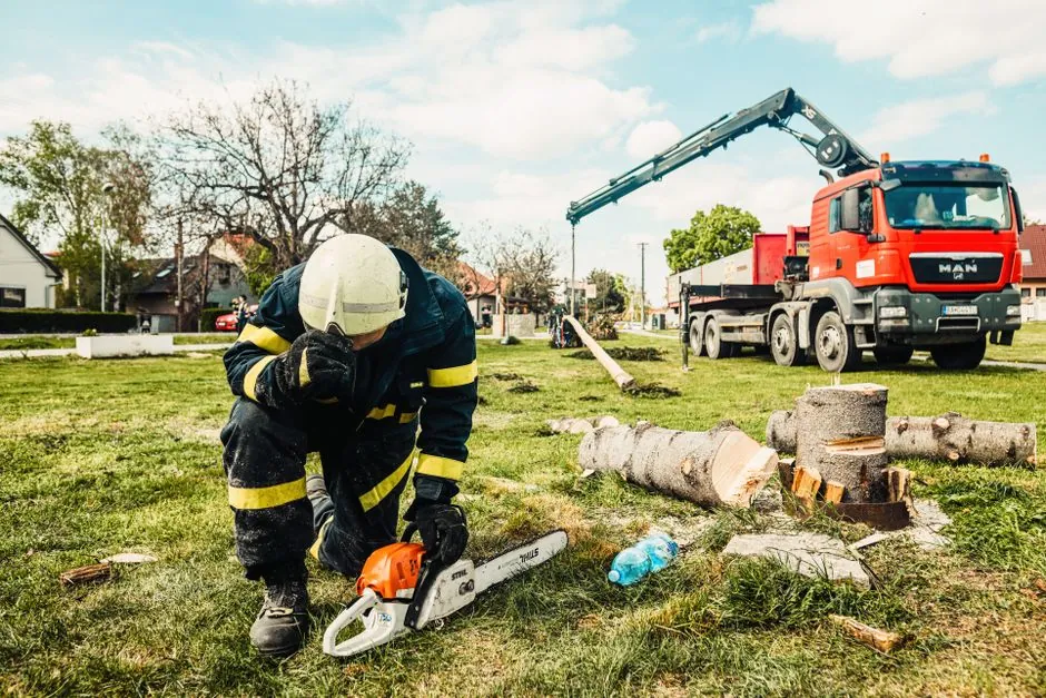 Taille de haie et entretien d'un jardin par RP Elagage